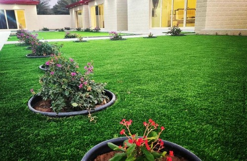 Ras Al Khaimah House | Pet-Friendly UptownRak FarmHouse with Pool and Kids' Activities
