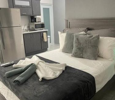 Eleanor Roosevelt Apartment | Pet-Friendly Urban Lodgings One @ Roosevelt 457 - Rated 9.1