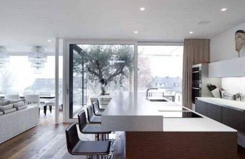 Wollishofen Apartment | Relaxing Lakefront Hotel with Spa and Family Amenities