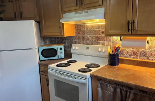 Mexicantown - Southwest Detroit Apartment | Urban Safari Loft