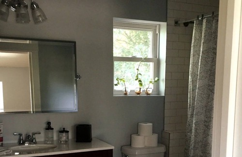 North Loop Apartment | Urban Tree House - University of Texas Area & 5 minutes from Downtown.
