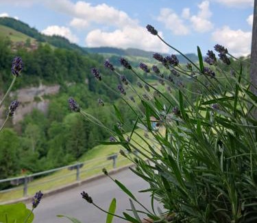 Sigriswil Apartment | Cozy Central Apartment with Great Amenities and Quiet Vibes