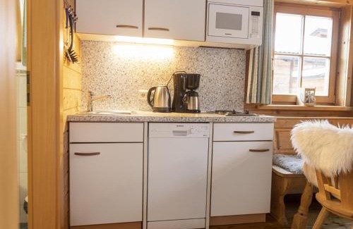 Niederau Apartment | Comfortable Urige Doppelhaushälfte 11 for Families & Pets