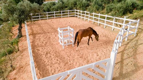 Kuscular House | Urlachi Çiftliği: Family-Friendly Stay with High Ratings