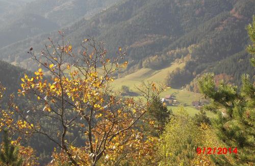 Elzach Apartment | Escape to Hänslehof: Pet-Friendly Oceanfront Retreat