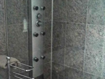 Kuerten Apartment | Enjoy Nature with City Access and Pet-Friendly Amenities
