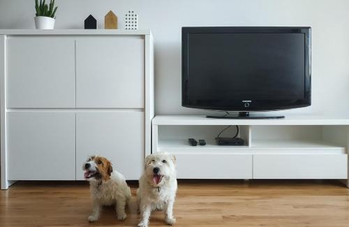 Wadowice Apartment | Cozy Apartment Pod Skarpą: Pet-Friendly & Family Ready