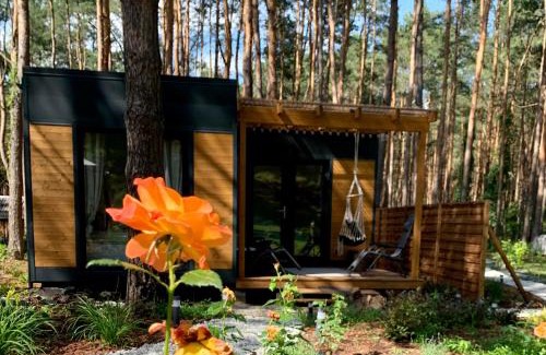 Radzymin House | Cozy Forest Retreat at Łosiówka - Pet and Child Friendly