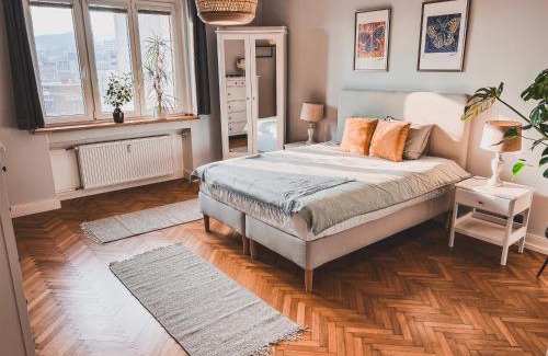 Usti nad Labem Apartment | Usti Downtown Horovka Apartment