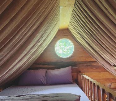 Da Lat Hotel | Discover Utopia Homestay Đà Lạt: Top-Rated & Pet-Friendly