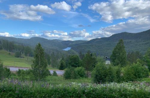Liden Cabin | Pet-Friendly Getaway at Utsiktens Turistgård