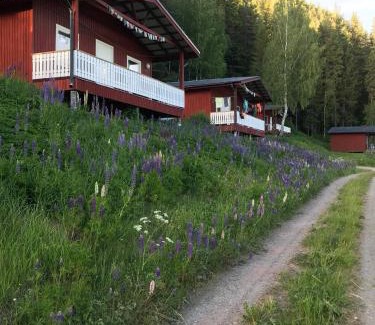 Liden Cabin | Pet-Friendly Getaway at Utsiktens Turistgård