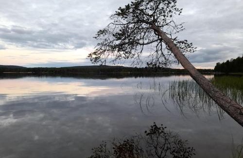 Inari Villa | New Log Cabin for 7 with Family-Friendly Amenities