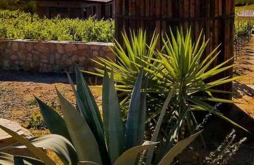 San Antonio de las Minas Cabin | Eco-Retreat UvaUva: King Bed & Balcony with Child-Friendly Amenities