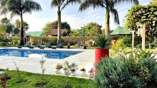 Arusha House | Uyoga House