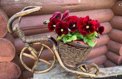 Pskov House | Top-Rated Uyut House: Pet-Friendly with Hot Tub & Kitchen