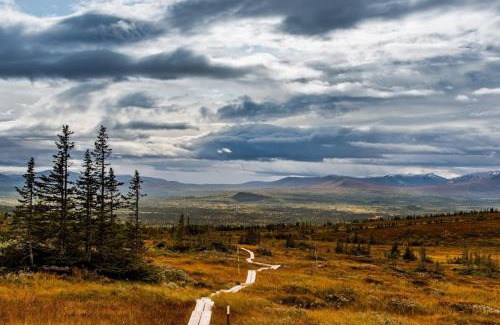 Valadalen Hotel | Experience Vålådalens Fjällstation: Pet-Friendly Retreat