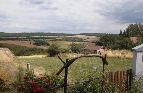 Vertestolna Apartment | Discover Vértestolna Vendégház: Child & Pet-Friendly Retreat