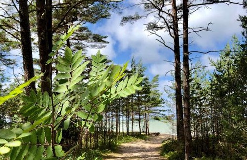 Liepene House | Vējciems: Pet-Friendly Retreat with Oceanfront Views