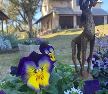 Marble Falls Villa | Discover V700 Ranch Stays: A Hidden Gem for Families