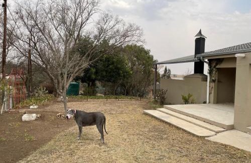 Oranjeville House | Pet-Friendly Vaaldam @ Sgt Pepper’s Holiday Home Retreat