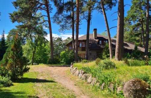 Narva-Joesuu Apartment | Cozy Vabaduse Guesthouse: Pet-Friendly Stay Awaits You