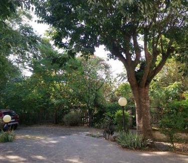 Narni Villa | Vacanza nel boschetto