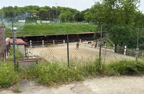 Giugnano House | Relaxing Vacanze Toscane with Pet & Child-Friendly Amenities