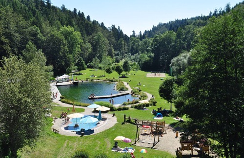 Uehlingen-Birkendorf Apartment | Unforgettable Vacation Apartment in the Black Forest