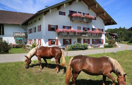 Siegsdorf Apartment | Cozy 2-Bedroom Apartment with Balcony & Spa Amenities