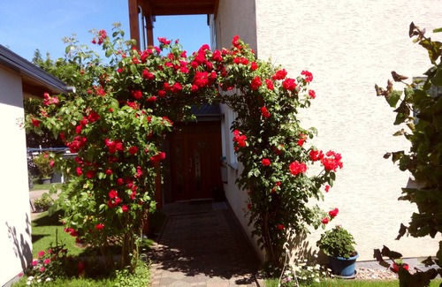 Beverungen Apartment | Family-Friendly Apartment for 5 Guests in Beverungen