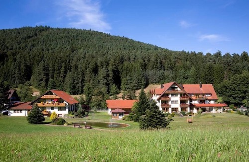 Tonbach Apartment | Cozy Vacation Apartment Type C with Kitchen & Breakfast