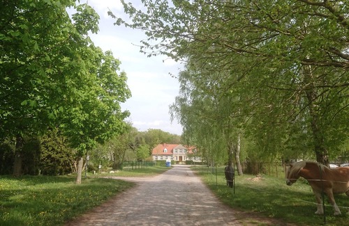 Klein Bunzow Apartment | Spacious Family Apartment with Ocean View in Klein Bünzow
