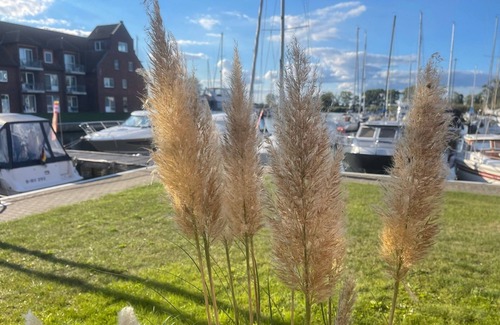 Ueckermuende Apartment | Pet-Friendly Oceanfront Apartment for 2 in Ueckermünde