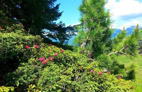 Emberg Apartment | Ideal Vacation Apartment 300m from Hochzillertal Valley Run