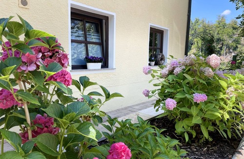 Riedenburg Apartment | Historic Schoolhouse Escape: Guest Rated 10/10 with Kitchen