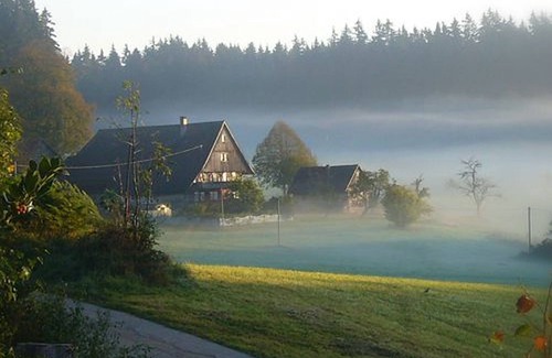 Schramberg Apartment | Cozy Apartment Waldblick with Kitchen & Breakfast Included