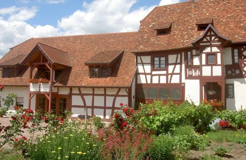 Rust Apartment | Guest Rated 9.8: Cozy Apartment at Gästehaus Kunz Rust