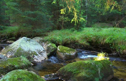 Schierke Apartment | Convenient Apartment Wurmberg with Child-Friendly Amenities