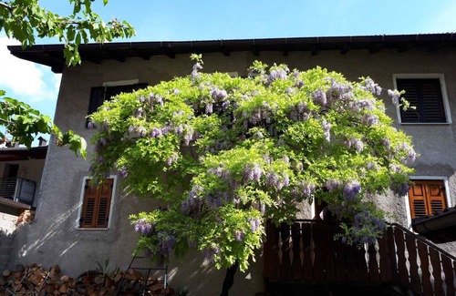 Rovere della Luna Apartment | Cozy Retreat in Trentino-Alto Adige with Spa & Hot Tub