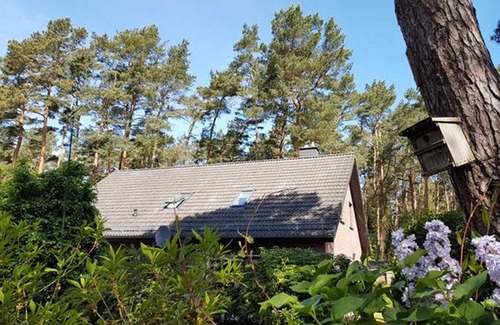 Lubmin House | Oceanfront Vacation Home at Duenenwald - Rated 9.8/10