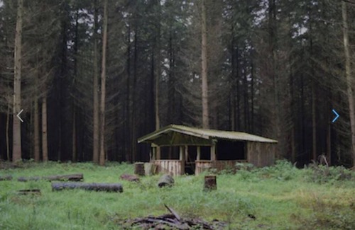 Muritz House | Tranquil Vacation Home Near Nature Reserve - Mönchshof 13b