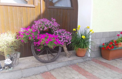 Brez Apartment | Discover Nature at Vacation Home Iris - Guest Rated 9.8