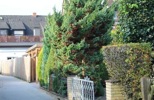 Neumuenster Condo | Vacation home Irma is closed! Goodbye!