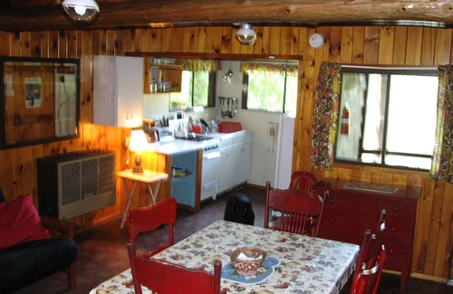 Saranac Lake Cabin | Pet-Friendly Vintage Cabin in Saranac Lake with Spa & Views