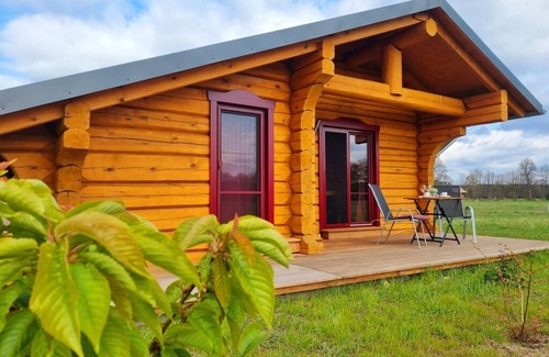 Quitzdorf am See Apartment | Comfortable Vacation Room Hecht-Kammer with Kitchen Access