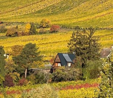 Neustift Am Walde House | Inviting Vacation Home Surrounded by Lush Vineyards