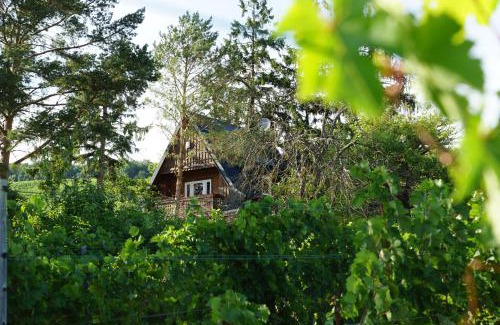 Neustift Am Walde House | Inviting Vacation Home Surrounded by Lush Vineyards