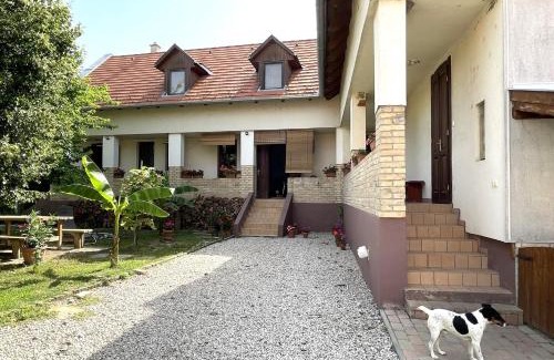 Alsonyek Bed & Breakfast | Discover Vadászkürt Vendégfogadó: Pet-Friendly Retreat