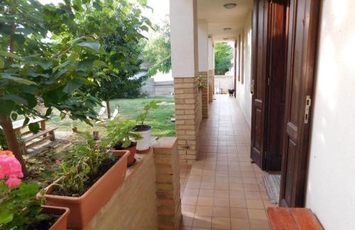 Alsonyek Bed & Breakfast | Discover Vadászkürt Vendégfogadó: Pet-Friendly Retreat